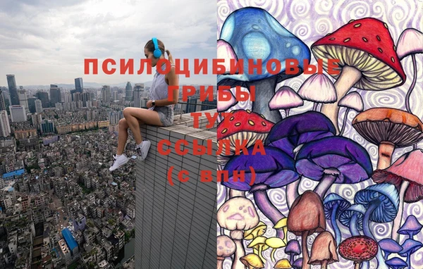 кокс Абдулино