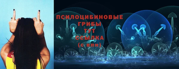 прущий лед Алексеевка