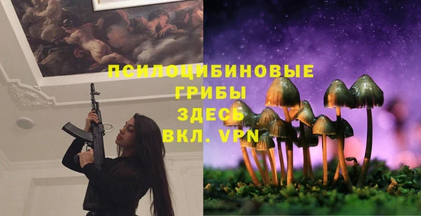 кокс Абдулино