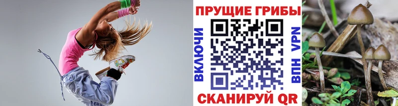 Псилоцибиновые грибы GOLDEN TEACHER  закладки  Соликамск 