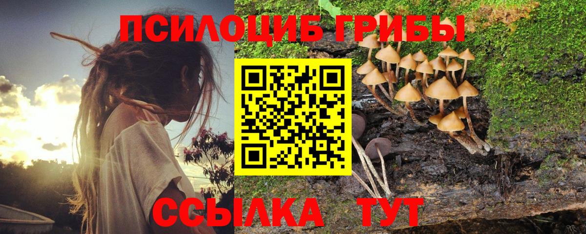 Соликамск  купить наркотик  Вход с VPN  Галлюциногенные грибы ЛСД  Псилоцибиновые грибы прущие грибы 